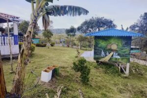 Finca agroturistica cafe zenaida