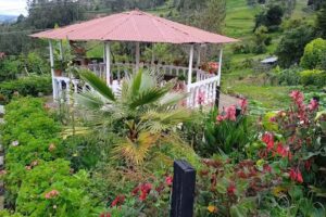 Finca Agroturistica La Vega