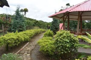 FINCA AGROTURISTICA TIERRA SANTA &ndash; MUCILA.GUST