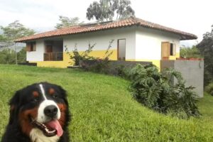 Finca Aldea Del Abuelo