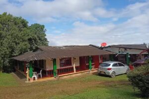 Finca Alsacia &ndash; Hane Coffee