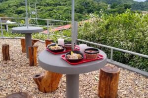 Finca Altos De Villa Ligia