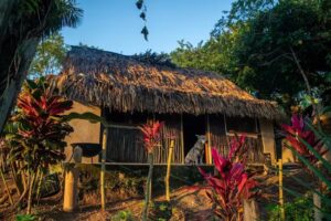 Finca Anicca Palomino