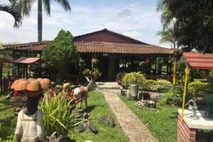 Finca Aura o Las Violetas