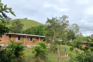 Finca Brisa F Gomez Gallinazo