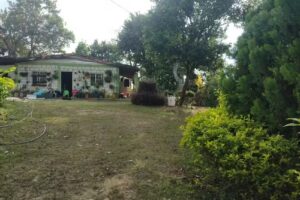 Finca Buena Vista, Curití, Santander