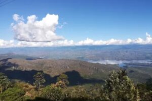 Finca Buena Vista del Agrado