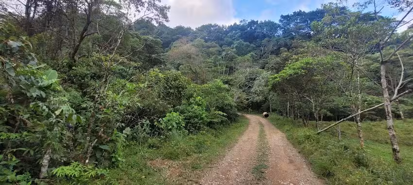 Finca Buenavista