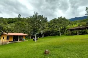 Finca Buenos Aires _Alto Bombona _Consac&aacute;