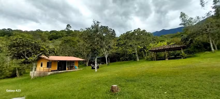 Finca Buenos Aires _Alto Bombona _Consac&aacute;