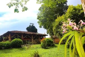 Finca Cafetera Madrigal &ndash; Caf&eacute; Sortiz