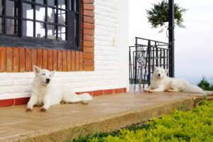 Finca Campestre Miravento