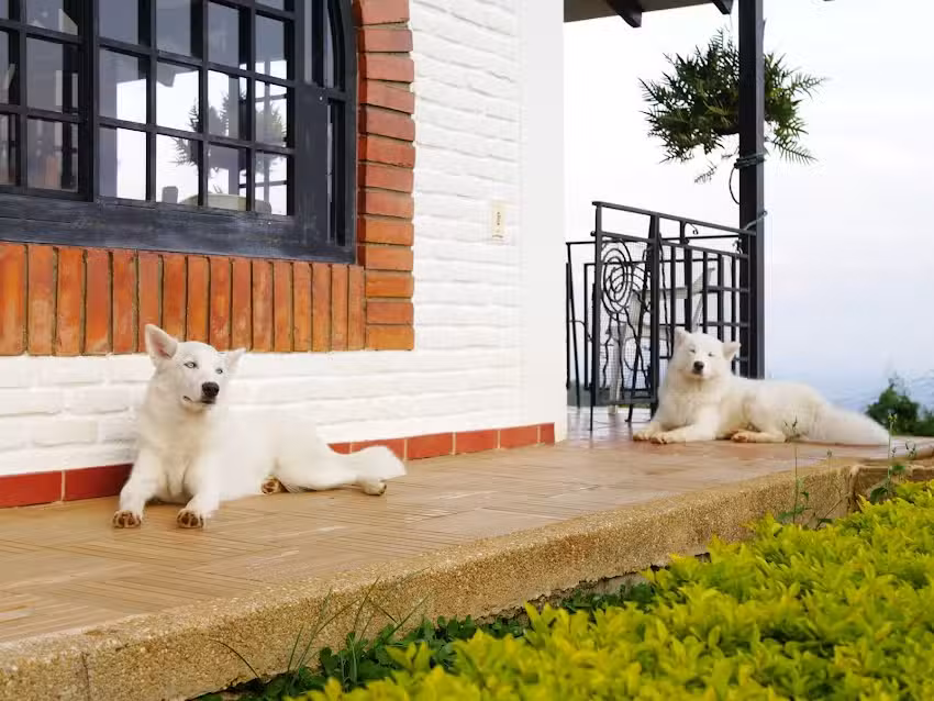 Finca Campestre Miravento