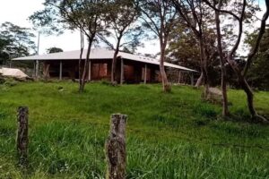 FINCA CAMPO ALEGR&Eacute;