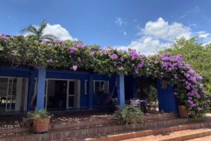 Finca Ca&ntilde;a Dulce