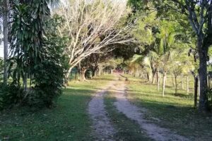 Finca Carrusel