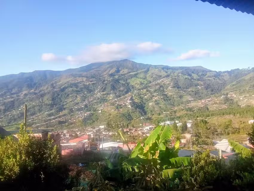 Finca casa verde
