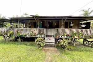 Finca Discosura (Avistamiento de Aves)