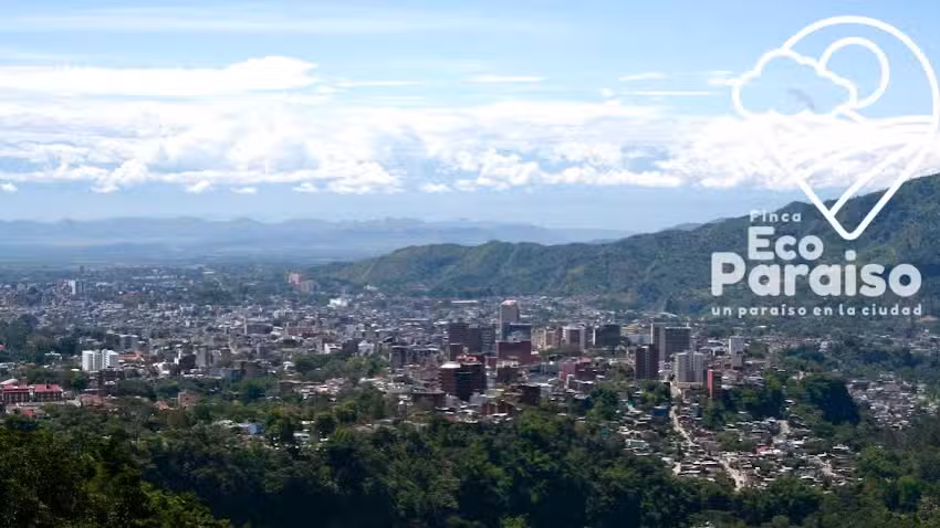 Finca Ecoparaiso Ibagu&eacute;