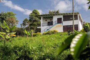 Finca Ecotur&iacute;stica Cafetera Cosecha Real