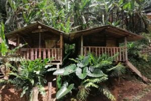 Finca ecoturistica el Para&iacute;so &ndash; Regi&oacute;n calima