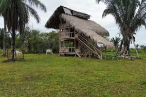 Finca Ecoturistica LOS CHIRIGUAROS