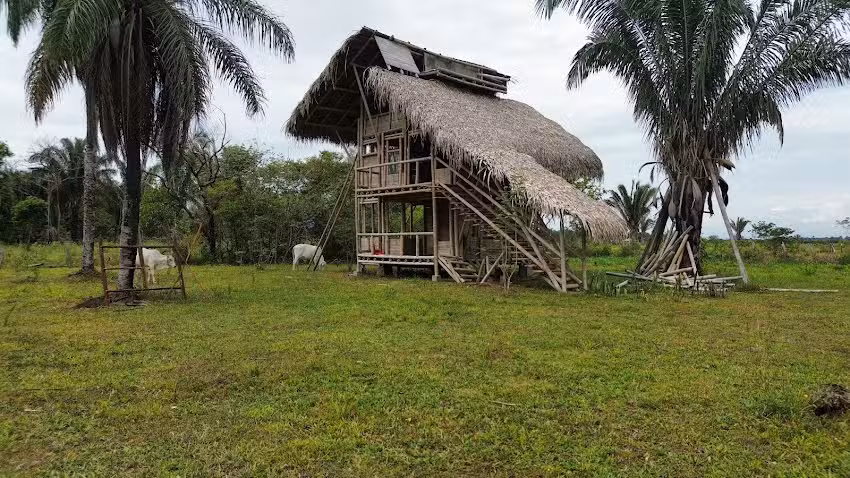Finca Ecoturistica LOS CHIRIGUAROS