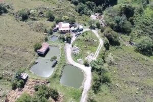 Finca Ecoturística Villamaría