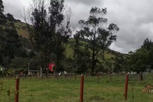 Finca El Aliso -Vereda Sn. José