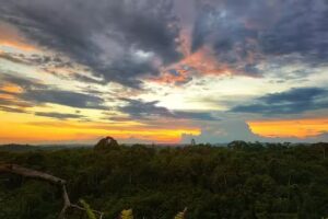Finca el Alto el OSO.