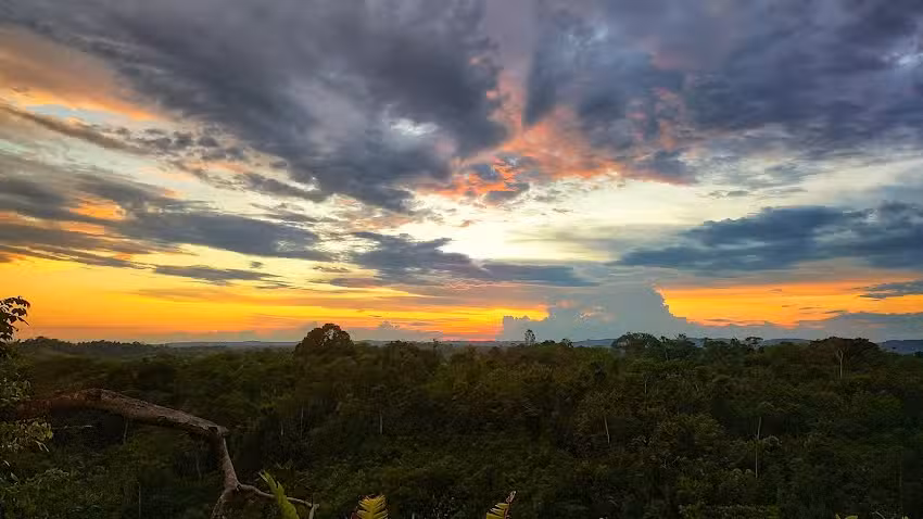 Finca el Alto el OSO.