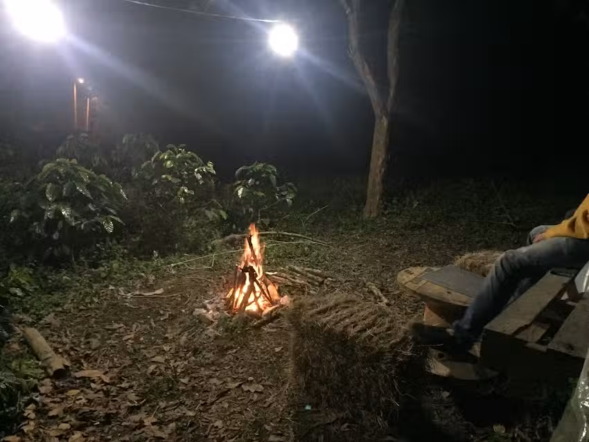 Finca el bosque