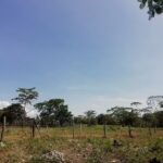 FINCA &ldquo;EL DANUBIO&rdquo;