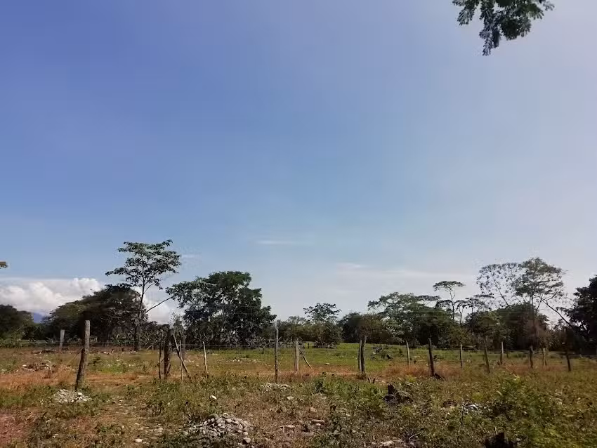 FINCA &ldquo;EL DANUBIO&rdquo;