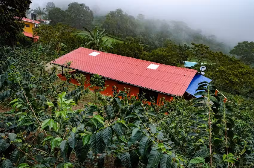 Finca El Danubio