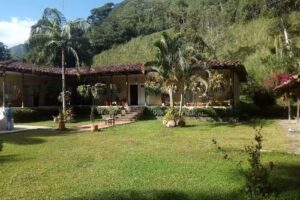 FINCA EL DINDE