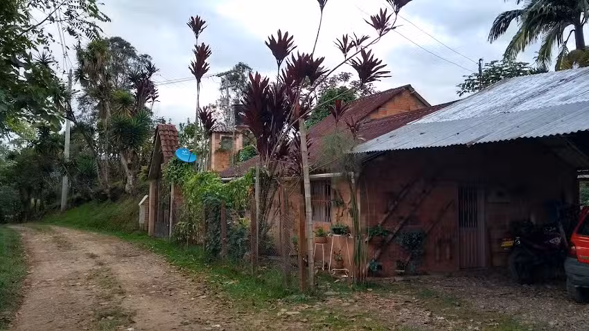 Finca El Naranjito. Colibr&iacute; Gorriazul