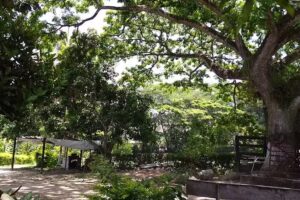 Finca El Para&iacute;so