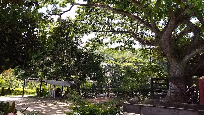 Finca El Para&iacute;so