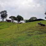 Finca el para&iacute;so