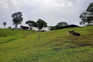 Finca el para&iacute;so