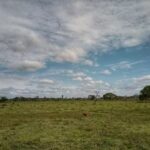 Finca El Para&iacute;so