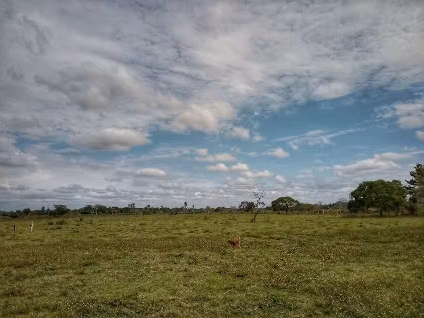 Finca El Para&iacute;so