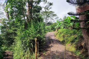 Finca El Paraiso Casallas