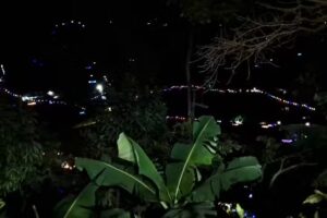 Finca el plan,,HERNAN TAPASCO