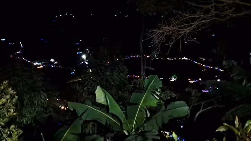 Finca el plan,,HERNAN TAPASCO