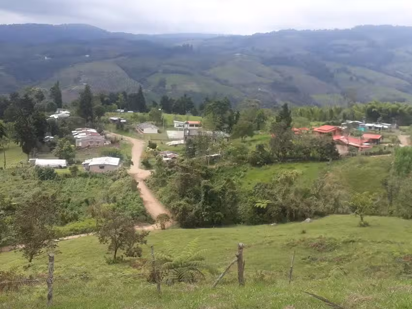 Finca El porvenir