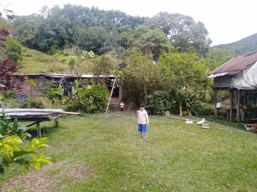 Finca El PORVENIR Verda San Pedro Ataco Tolima