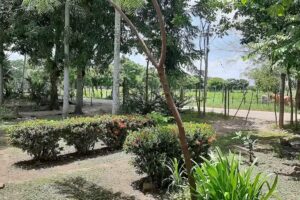 Finca El Progreso, Los Mimbres,C&oacute;rdoba