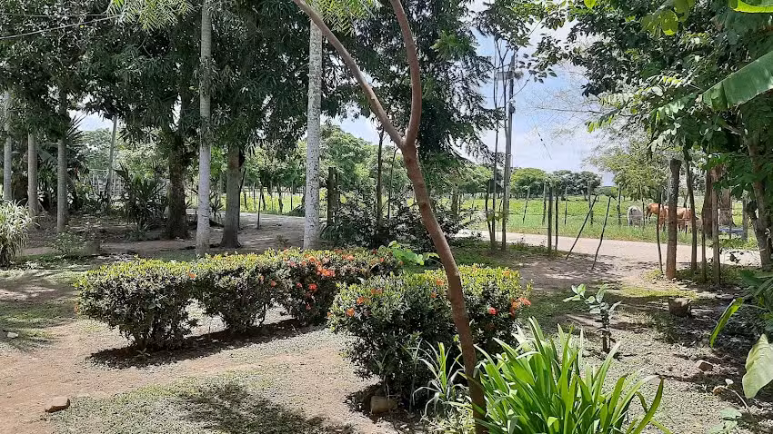 Finca El Progreso, Los Mimbres,C&oacute;rdoba